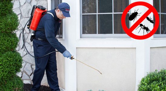 Kaş Bit İlaçlama böcek ilaçlama ve haşere kontrolü — ilaclama-tr.com